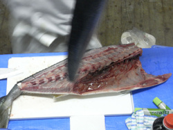Buri