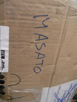 Masato