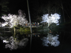 Hanami