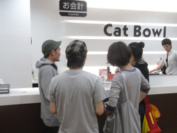 Okaikei Okaikei