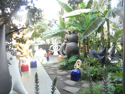 Taro6